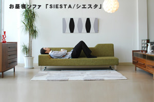 ����ե���SIESTA/��������