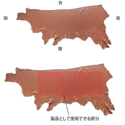 本革の使用できる部位