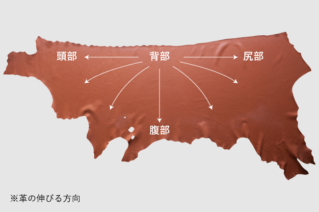革の伸びる方向