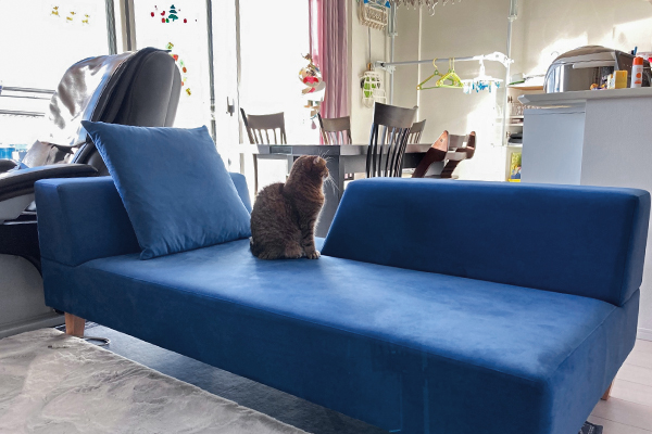 PIVO 2.5人掛け | お客様の声 | ソファ専門店FLANNEL SOFA