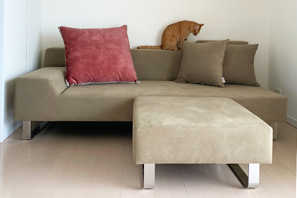 SIESTA