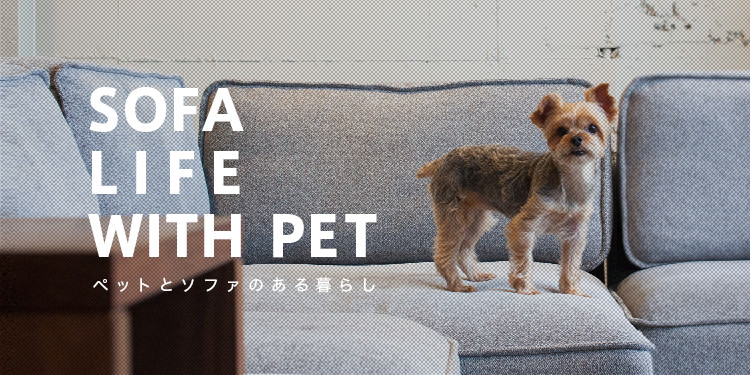 ペットとソファのある暮らし
